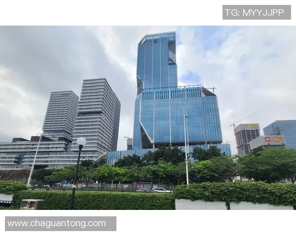 广州篮球队的崛起与发展探索聚焦球队力量与未来潜力